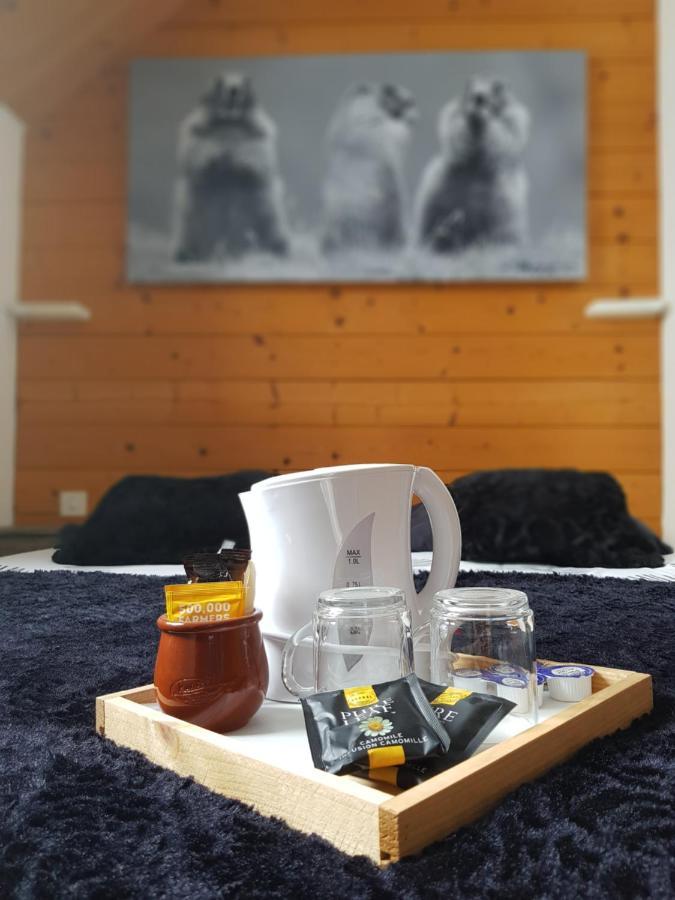 Gite Chalet Du Soulor Arrens-Marsous Zewnętrze zdjęcie
